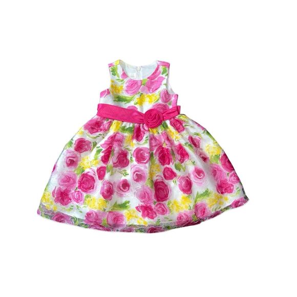 American Princess 2T Party Dress Floral Flower Girl Tulle Sleeveless Elegant - Picture 2 of 10